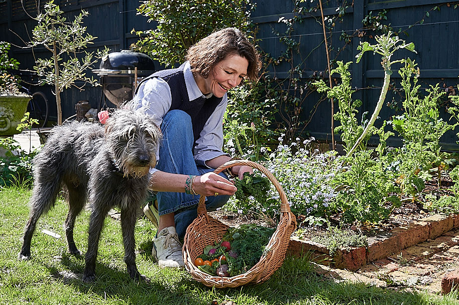 thomasina miers and her dog putting garden plants in a basket